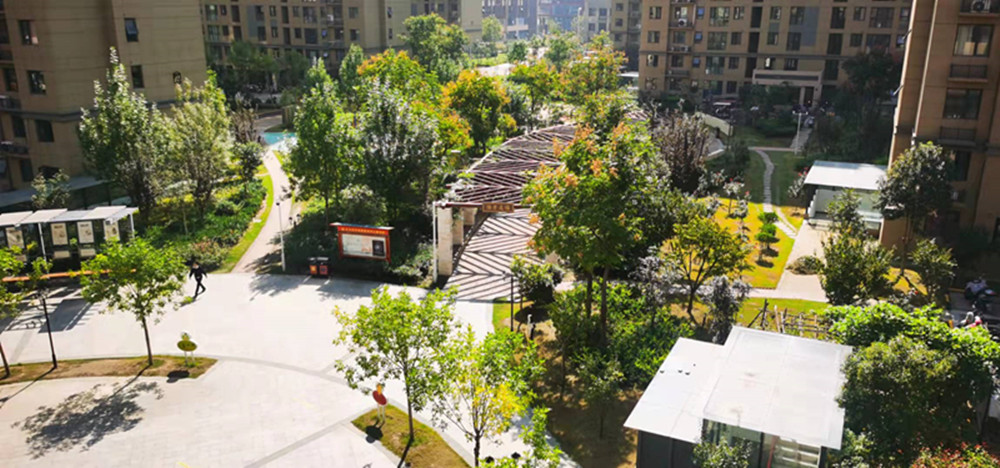 ֣�������ϴ岢�����ְ�����������Ŀ������ƹ�����չ���ͨ��